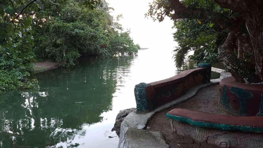 Nature Green Forest Resort Baler Bagian luar foto