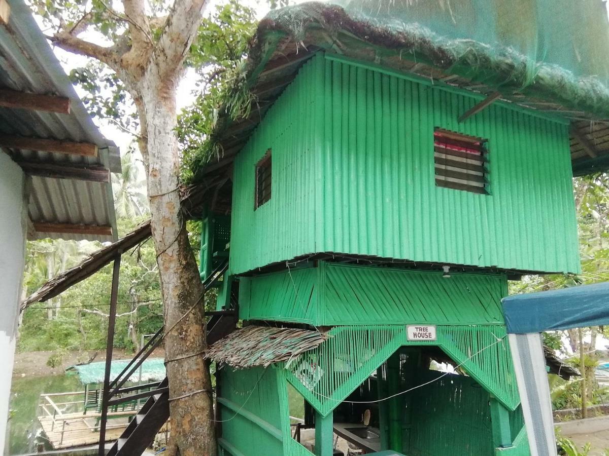 Nature Green Forest Resort Baler Bagian luar foto
