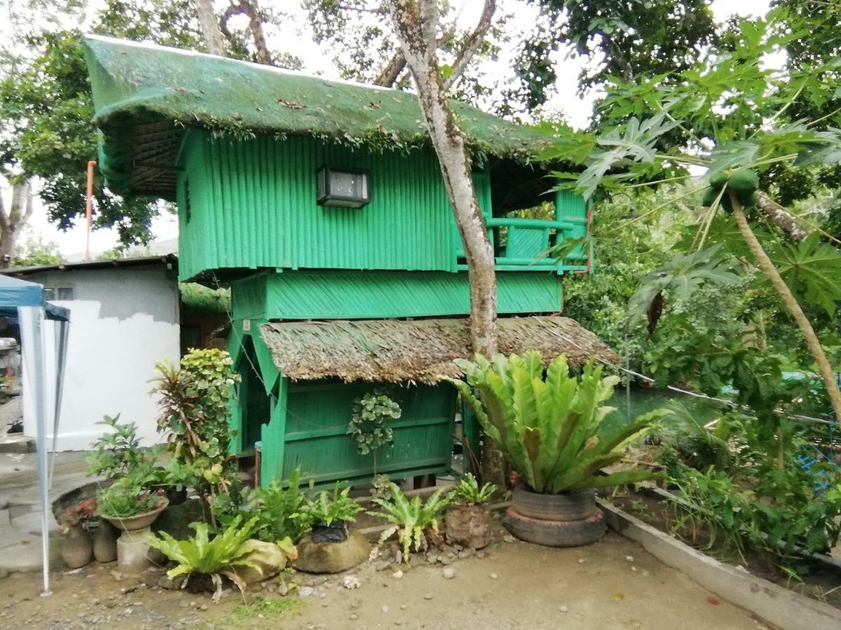 Nature Green Forest Resort Baler Bagian luar foto
